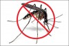 Tiêu diệt muỗi - bảo vệ sức khỏe của chúng ta